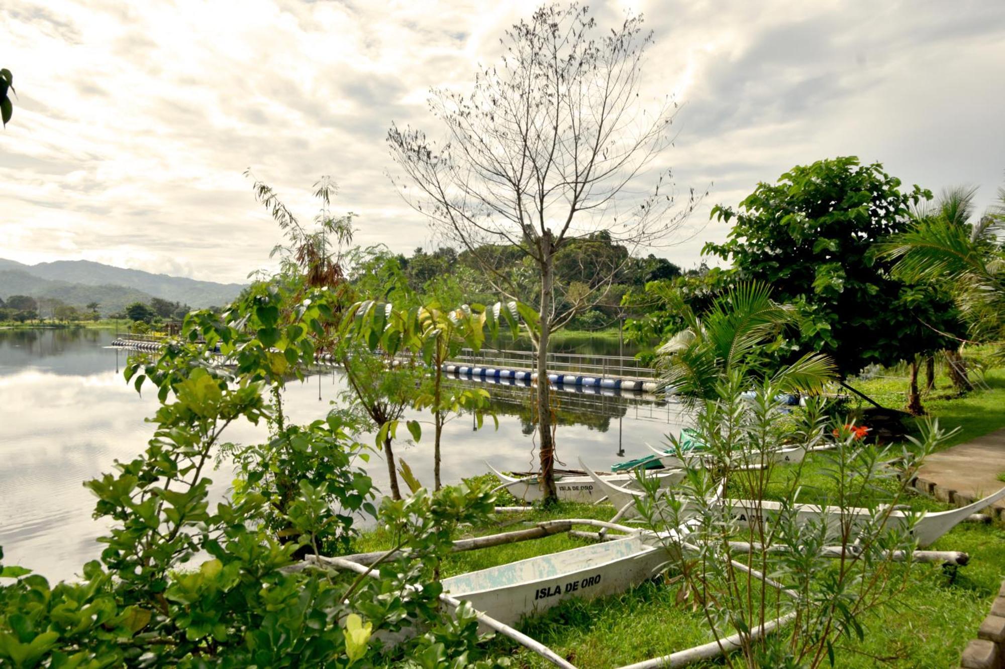 Isla De Oro Hotel Mamburao エクステリア 写真