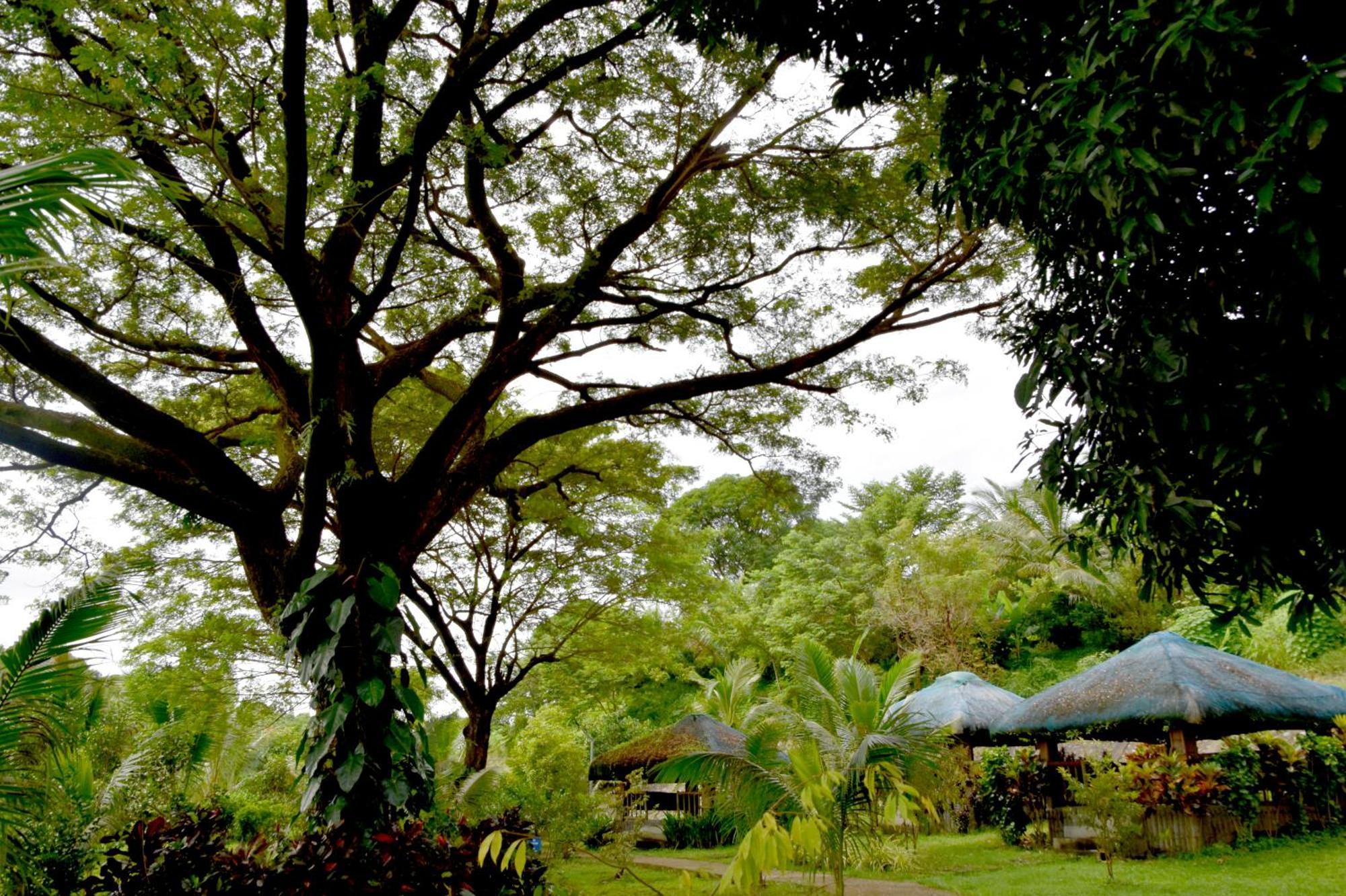 Isla De Oro Hotel Mamburao エクステリア 写真